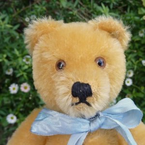 画像2: 大変良い状態です☆ Steiff Blond Original Teddy 20cm 推定1960年代　（ビンテージ）