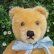 画像2: 大変良い状態です☆ Steiff Blond Original Teddy 20cm 推定1960年代　（ビンテージ） (2)