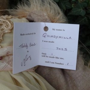 画像10: 1点もの☆ Quimsymilla by Mary 42cm（フォーゲットミーノット）