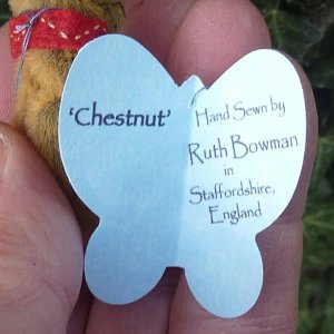 画像4: 1点もの☆ Chestnut 4.5cm by Ruth Bowman （英）