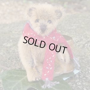 画像2: 1点もの☆ Chestnut 4.5cm by Ruth Bowman （英）