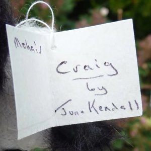 画像6: 1点もの☆ Craig 12cm by June Kendall （英）