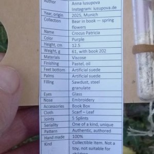 画像4: 1点もの☆ Crocus Patricia 12.5cm by Anna Iusupova（独）