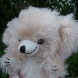 画像4: 2025年11月発売☆ メリーソート  チーキー・リトルマカロン・バニラ 18cm 65番