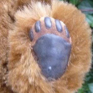 画像8: 2025年新作☆ 8ジョイント☆ Sandi 30cm by Jean & Bill Ashburner （英）2番