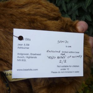 画像9: 2025年新作☆ 8ジョイント☆ Sandi 30cm by Jean & Bill Ashburner （英）2番