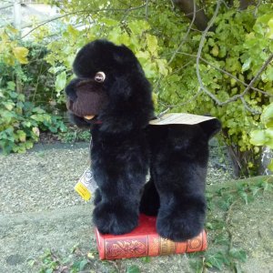 画像2: 大変貴重なお品です！ シュタイフ社アーカイブより 28cm  Cosy Tobby プードル　1985年・ハンドメイド試作モデル　（ビンテージ）