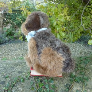 画像3: 大変貴重なお品です！ シュタイフ社アーカイブより 28cm Steiff Junior Lumpi Dachshund 1976年　（ビンテージ）