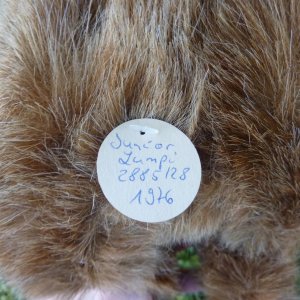 画像6: 大変貴重なお品です！ シュタイフ社アーカイブより 28cm Steiff Junior Lumpi Dachshund 1976年　（ビンテージ）