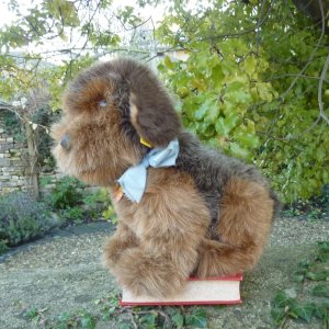 画像2: 大変貴重なお品です！ シュタイフ社アーカイブより 28cm Steiff Junior Lumpi Dachshund 1976年　（ビンテージ）