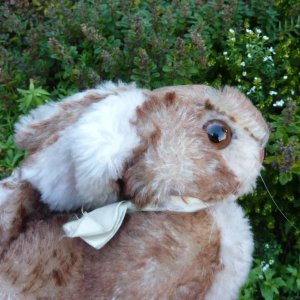 画像3: 大変貴重なお品です！ シュタイフ社アーカイブより Ossi Rabbit 23cm 1967年（ビンテージ）