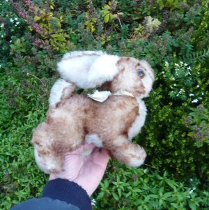 画像4: 大変貴重なお品です！ シュタイフ社アーカイブより Ossi Rabbit 23cm 1967年（ビンテージ）