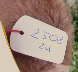 画像6: ID全てあり☆大変貴重なお品です！ シュタイフ社アーカイブより Snuffy Bear 16cm 1983年（ビンテージ）