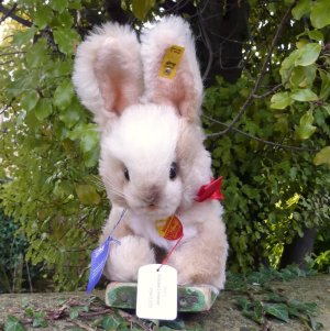 画像2: ID全てあり☆大変貴重なお品です！ シュタイフ社アーカイブより Muemmel Rabbit 25cm 1976年（ビンテージ）