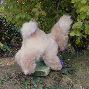 画像3: ID全てあり☆大変貴重なお品です！ シュタイフ社アーカイブより Muemmel Rabbit 25cm 1976年（ビンテージ）