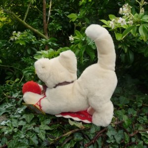 画像3: ID全てあり☆大変貴重なお品です！ シュタイフ社アーカイブより Cosy Sulla Cat 16cm 1985年（ビンテージ）