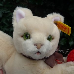 画像2: ID全てあり☆大変貴重なお品です！ シュタイフ社アーカイブより Cosy Sulla Cat 16cm 1985年（ビンテージ）