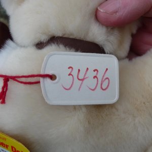 画像5: ID全てあり☆大変貴重なお品です！ シュタイフ社アーカイブより Cosy Sulla Cat 16cm 1985年（ビンテージ）