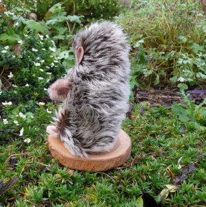 画像2: 大変貴重なお品です！ シュタイフ社アーカイブより Joggi Hedgehog 12cm 1978年（ビンテージ）