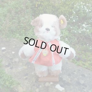 画像1: 大変貴重なお品です！ シュタイフ社アーカイブより Paddy Dog 30cm 1970年（ビンテージ）