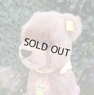 画像4: ID全てあり☆大変貴重なお品です！ シュタイフ社アーカイブより Buzzel Bear 20cm 1971年（ビンテージ）