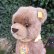 画像4: ID全てあり☆大変貴重なお品です！ シュタイフ社アーカイブより Buzzel Bear 20cm 1971年（ビンテージ） (4)