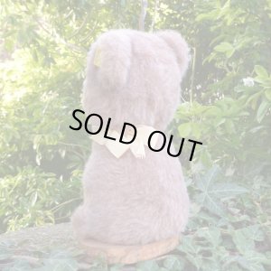 画像2: ID全てあり☆大変貴重なお品です！ シュタイフ社アーカイブより Buzzel Bear 20cm 1971年（ビンテージ）