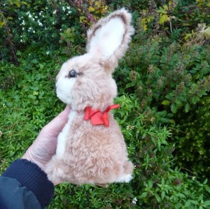 画像4: 大変貴重なお品です！ シュタイフ社アーカイブより Buzzel Rabbit 20cm 1971年（ビンテージ）