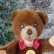 画像2: 大変貴重なお品です！ シュタイフ社アーカイブより Orsi Bear 30cm 1980年（ビンテージ） (2)