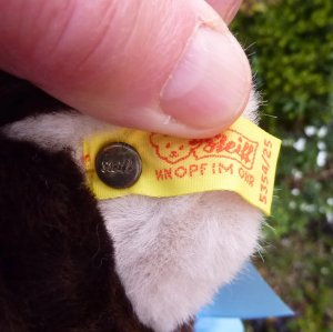 画像5: ID全てあり☆大変貴重なお品です！ シュタイフ社アーカイブより Cosy Lommy Bear 25cm  1982年（ビンテージ）