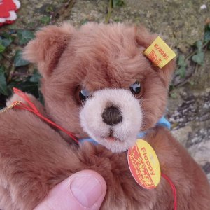 画像3: ID全てあり☆大変貴重なお品です！ シュタイフ社アーカイブより Floppy Bear 18cm 1983年（ビンテージ）