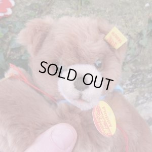画像3: ID全てあり☆大変貴重なお品です！ シュタイフ社アーカイブより Floppy Bear 18cm 1983年（ビンテージ）