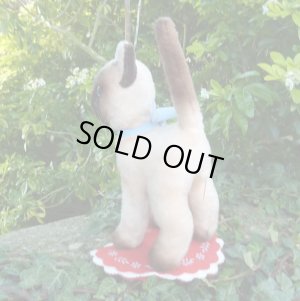 画像3: 大変貴重なお品です！ シュタイフ社アーカイブより Cosy Siam Cat 22cm 1970年（ビンテージ）