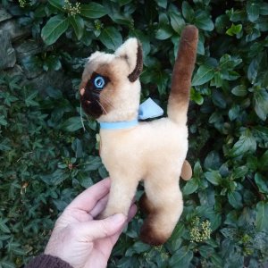 画像4: 大変貴重なお品です！ シュタイフ社アーカイブより Cosy Siam Cat 22cm 1970年（ビンテージ）