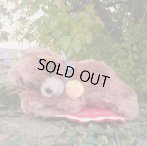 画像1: ID全てあり☆大変貴重なお品です！ シュタイフ社アーカイブより Floppy Bear 18cm 1983年（ビンテージ）