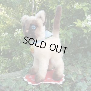 画像1: 大変貴重なお品です！ シュタイフ社アーカイブより Cosy Siam Cat 22cm 1970年（ビンテージ）