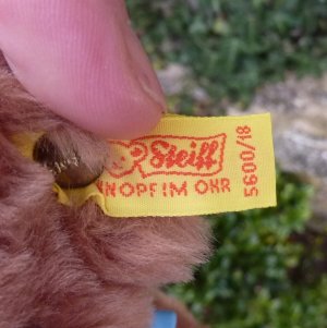 画像4: ID全てあり☆大変貴重なお品です！ シュタイフ社アーカイブより Floppy Bear 18cm 1983年（ビンテージ）