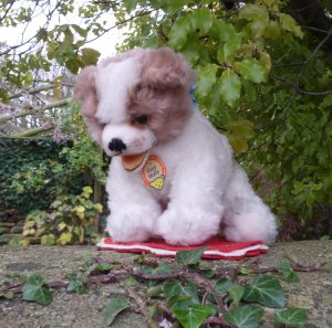 画像3: 大変貴重なお品です！ シュタイフ社アーカイブより Cosy Molly Dog 20cm 1965年（ビンテージ）