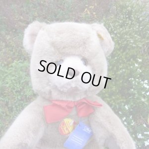 画像2: ID全てあり☆大変貴重なお品です！ シュタイフ社アーカイブより Original Teddy Bear Caramel 35cm  1976年（ビンテージ）