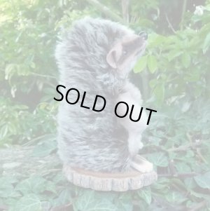 画像3: 大変貴重なお品です！ シュタイフ社アーカイブより Joggi Hedgehog 12cm 1978年（ビンテージ）