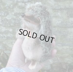 画像1: 大変貴重なお品です！ シュタイフ社アーカイブより Joggi Hedgehog 12cm 1978年（ビンテージ）