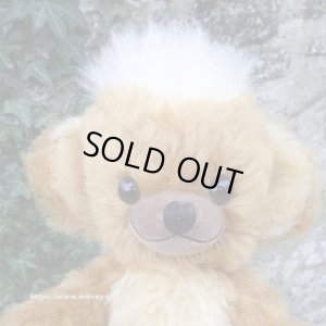 画像2: 初登場☆ メリーソート パンキーイヤーベア2026　23cm 7番