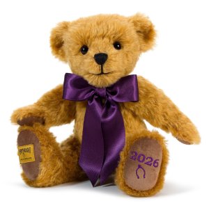 画像1: メリーソート イヤーベア2026　30.5cm 