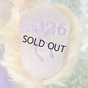 画像4: 初登場☆ メリーソート パンキーイヤーベア2026　23cm 7番