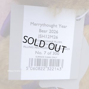 画像6: 初登場☆　メリーソート イヤーベア2026　30.5cm 7番