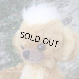 画像3: 初登場☆ メリーソート パンキーイヤーベア2026　23cm 7番