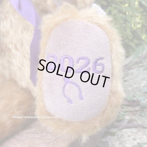 画像5: 初登場☆　メリーソート イヤーベア2026　30.5cm 7番