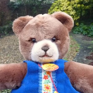 画像1: 大変貴重なお品です！ シュタイフ社アーカイブより Toldi Bear Dark Caramel 30cm 1982年（ビンテージ）