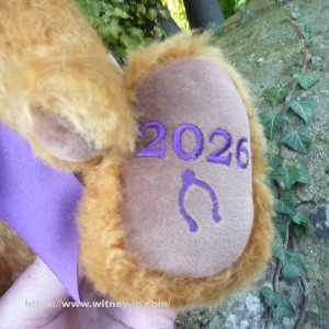 画像6: 2026年新作☆　メリーソート イヤーベア2026　30.5cm 6番