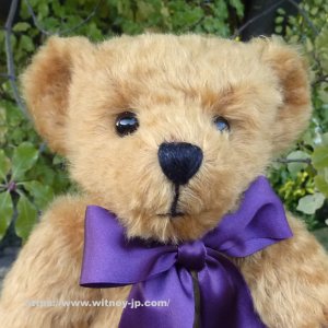 画像3: 2026年新作☆　メリーソート イヤーベア2026　30.5cm 6番